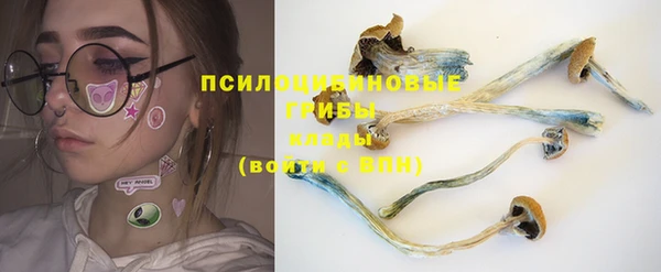 бошки Абинск