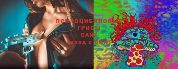 бошки Абинск