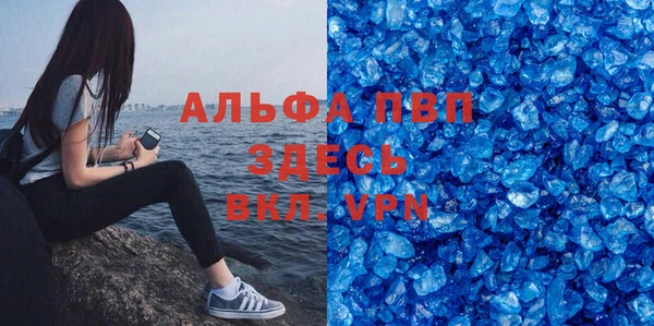 СК Алексин