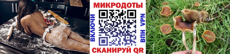 сколько стоит  Солигалич  darknet состав  Псилоцибиновые грибы Cubensis  мега tor 